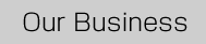 Our Business